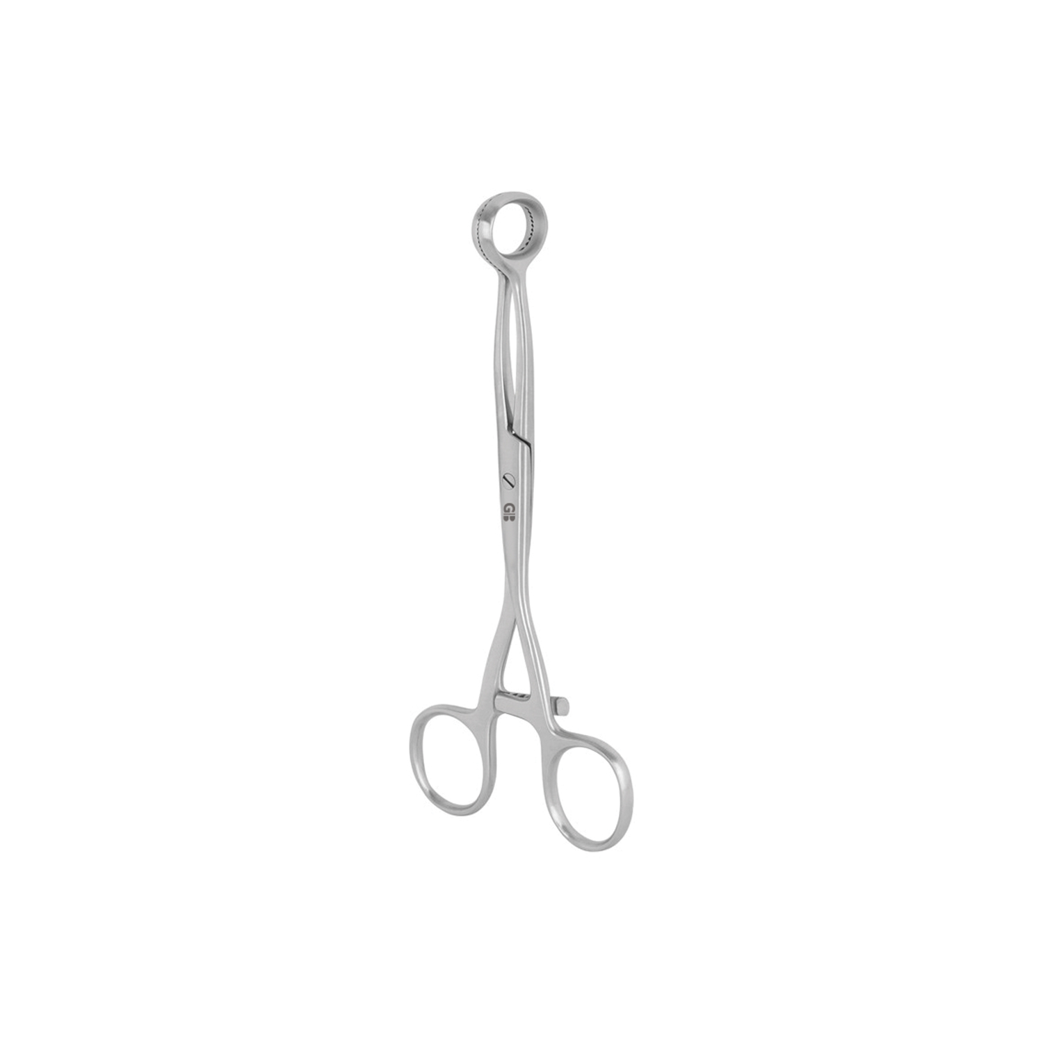 Organ And Tongue Holding Forceps